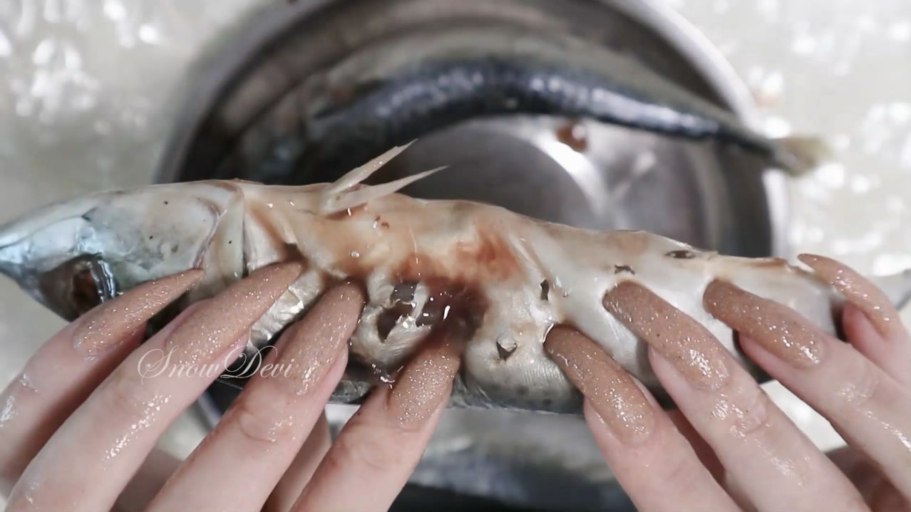 SNOW1592-Fish